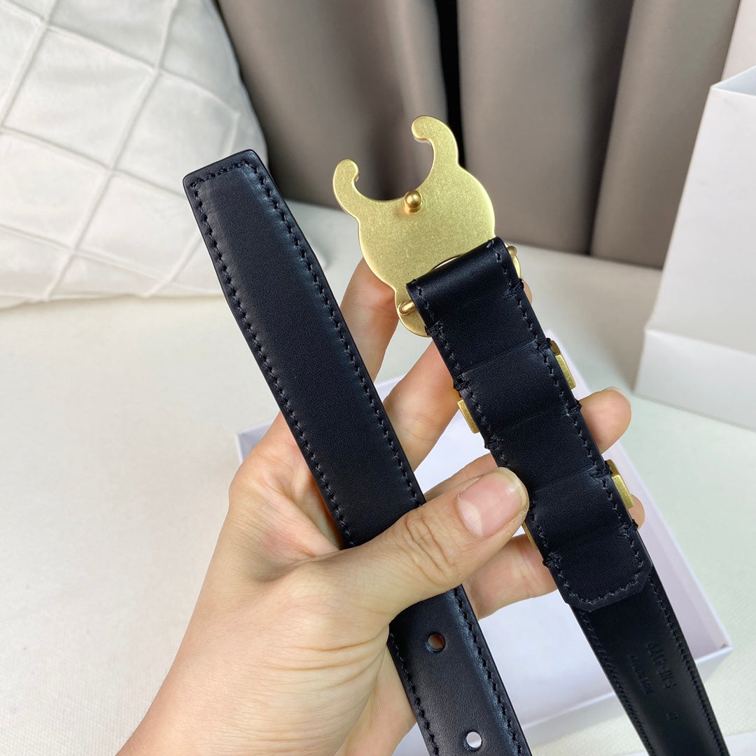 CELINE Medium Triomphe Belt 25mm Black Calfskin Gold Loop Ghw