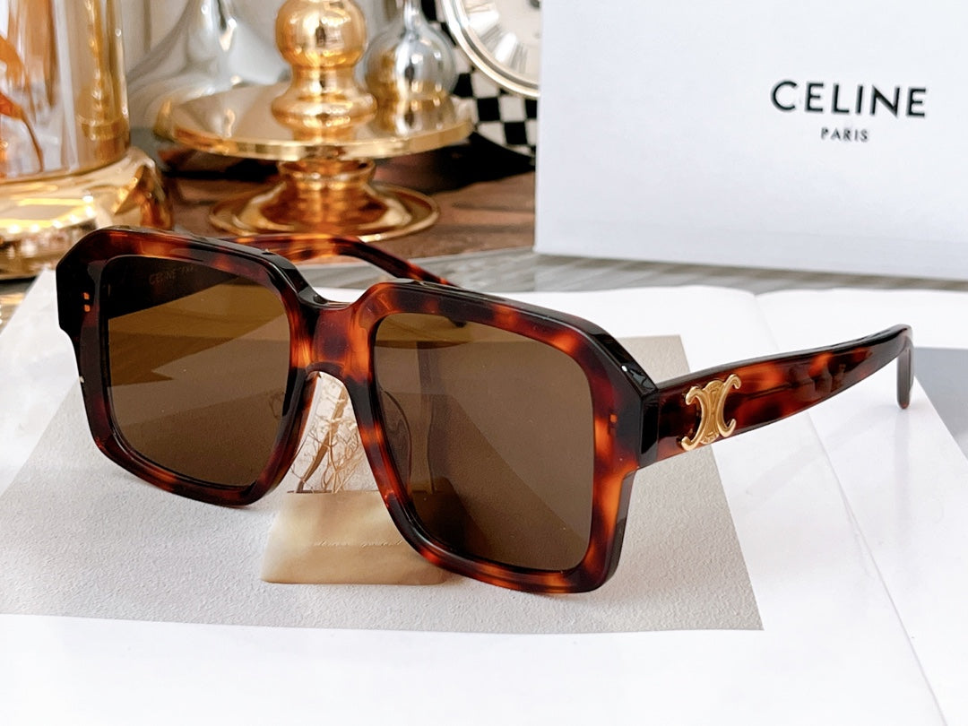 CELINE TRIOMPHE SUNGLASSES CL4S490 IN ACETATE