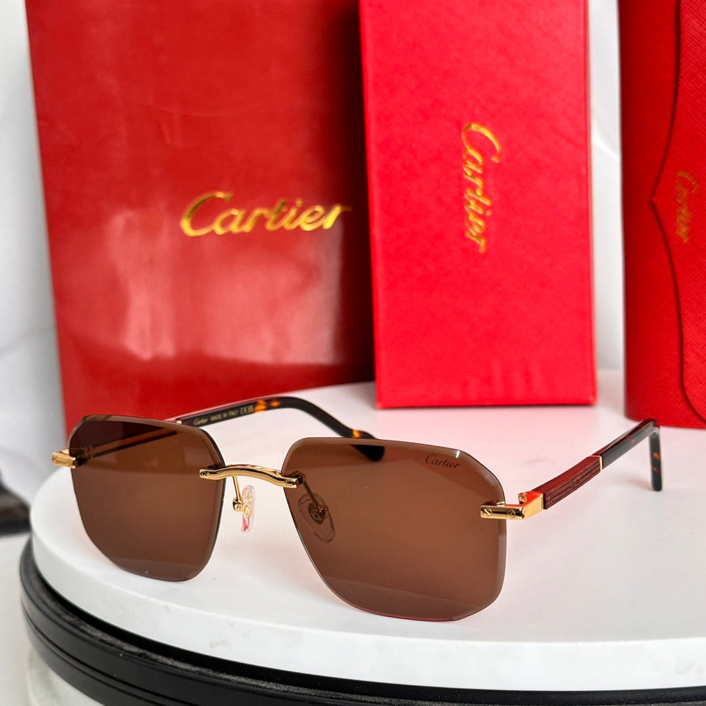 CARTIER SANTOS NAVIGATOR FRAME SUNGLASSES 524479 IN METAL AND WOODEN