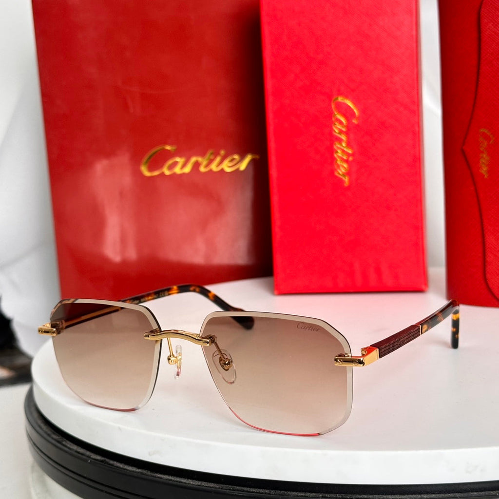 CARTIER SANTOS NAVIGATOR FRAME SUNGLASSES 524479 IN METAL AND WOODEN