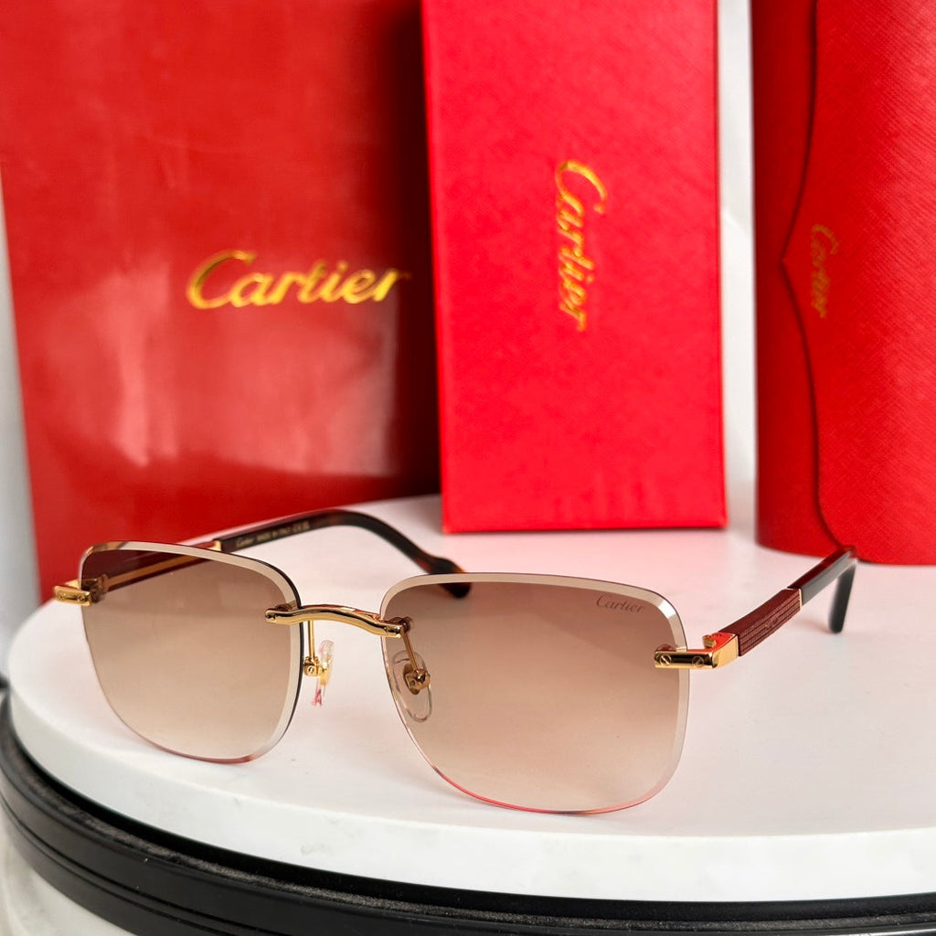 CARTIER SANTOS ROUND FRAME SUNGLASSES 524480 IN METAL AND WOODEN