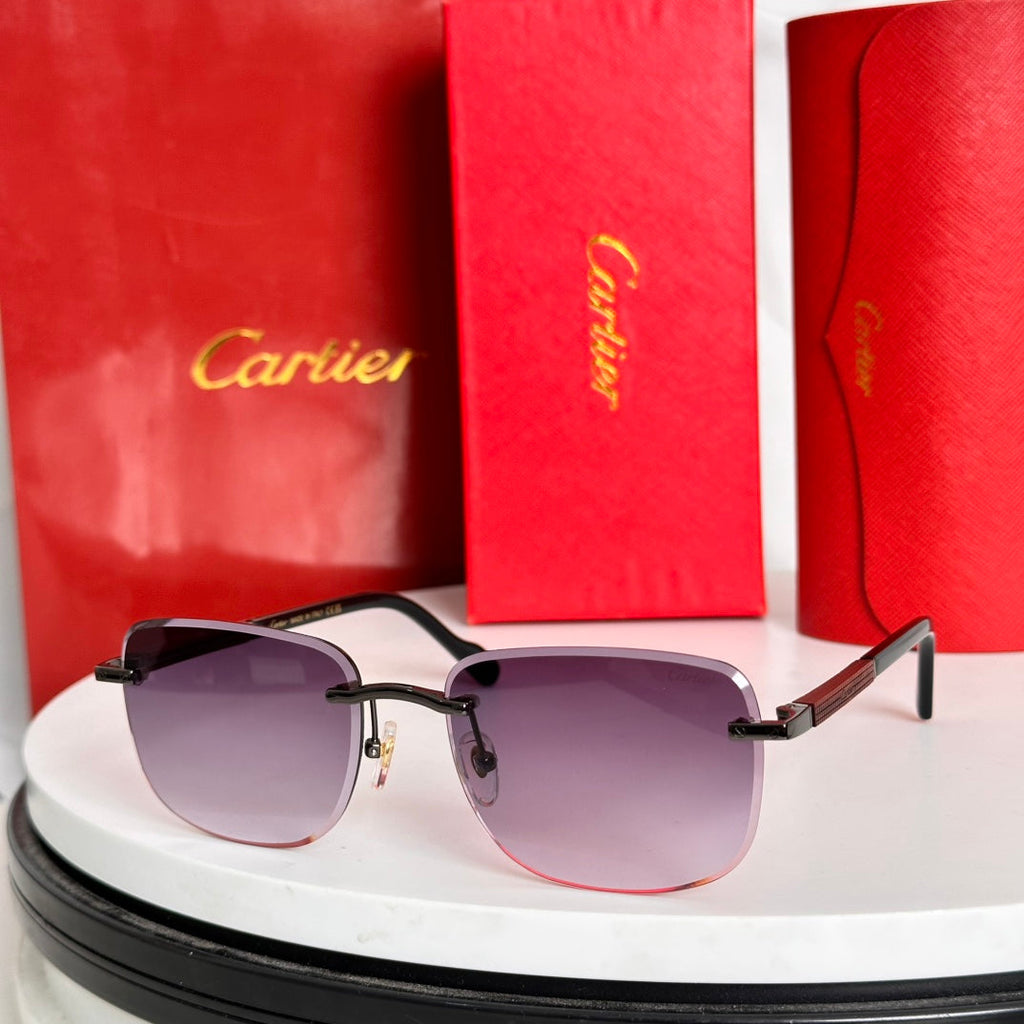 CARTIER SANTOS ROUND FRAME SUNGLASSES 524480 IN METAL AND WOODEN