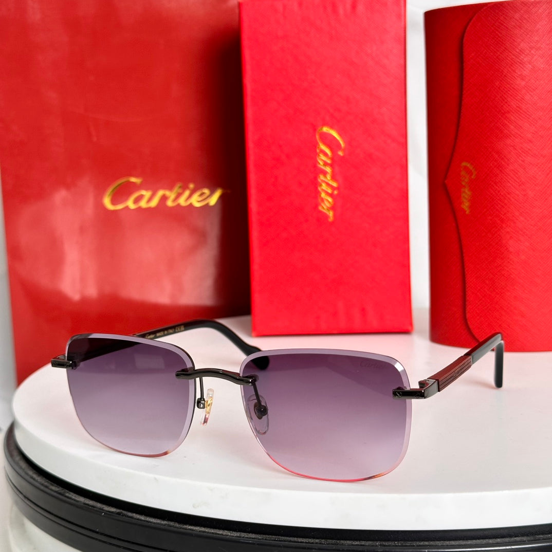 CARTIER SANTOS ROUND FRAME SUNGLASSES 524480 IN METAL AND WOODEN