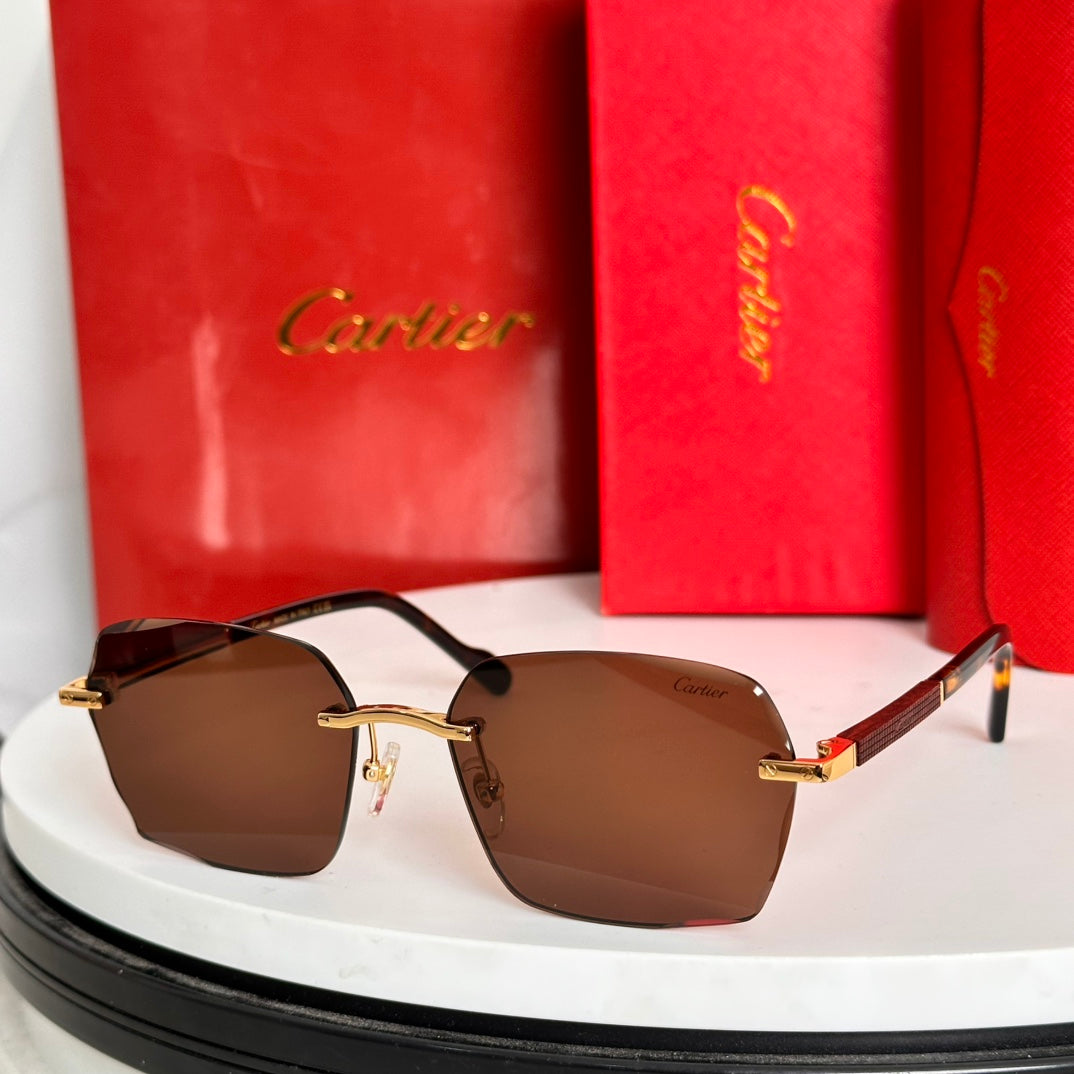 CARTIER SANTOS SQUARE FRAME SUNGLASSES 524481 IN METAL AND WOODEN