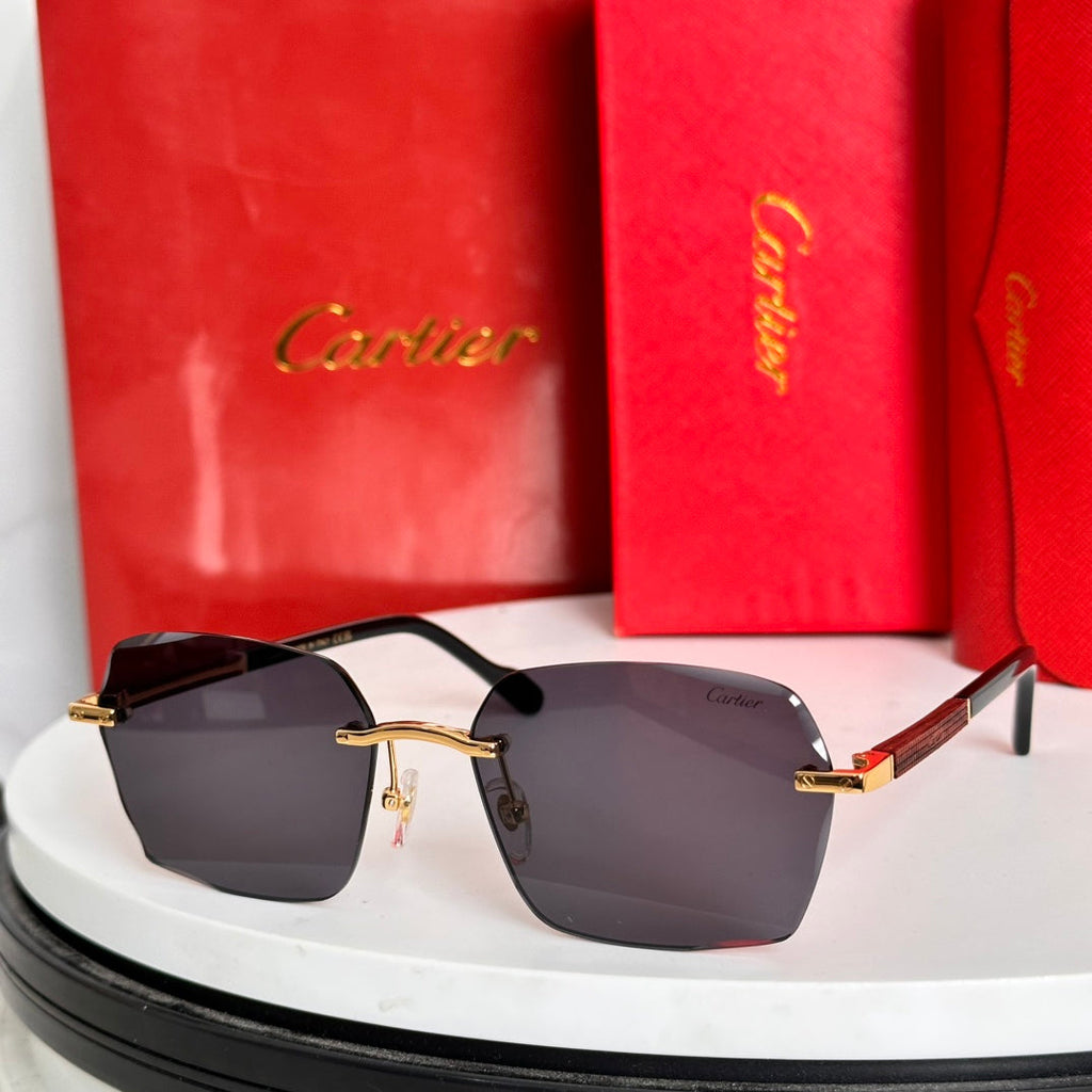 CARTIER SANTOS SQUARE FRAME SUNGLASSES 524481 IN METAL AND WOODEN
