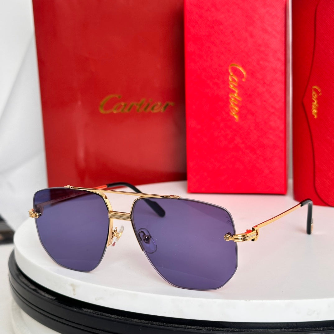 CARTIER PREMIÈRE NAVIGATOR FRAME SUNGLASSES CT6011S IN METAL
