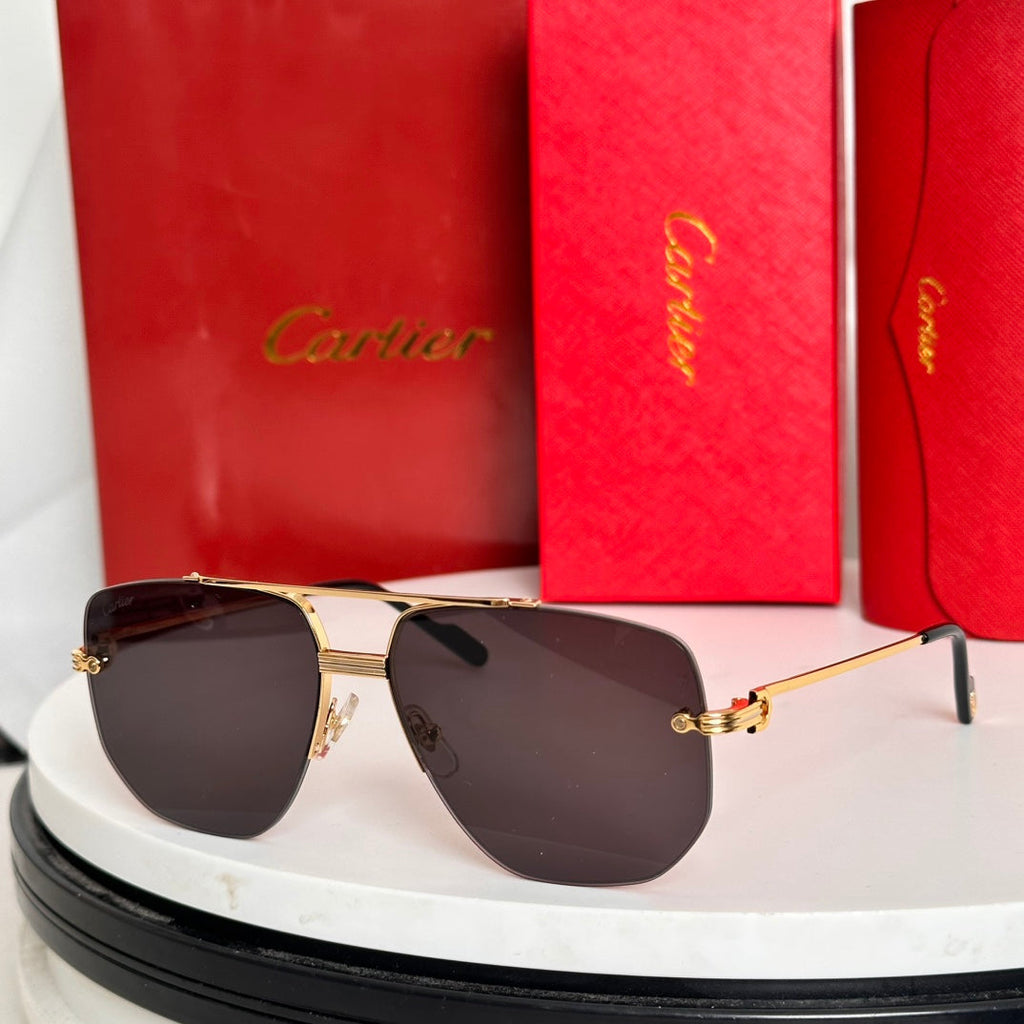 CARTIER PREMIÈRE NAVIGATOR FRAME SUNGLASSES CT6011S IN METAL