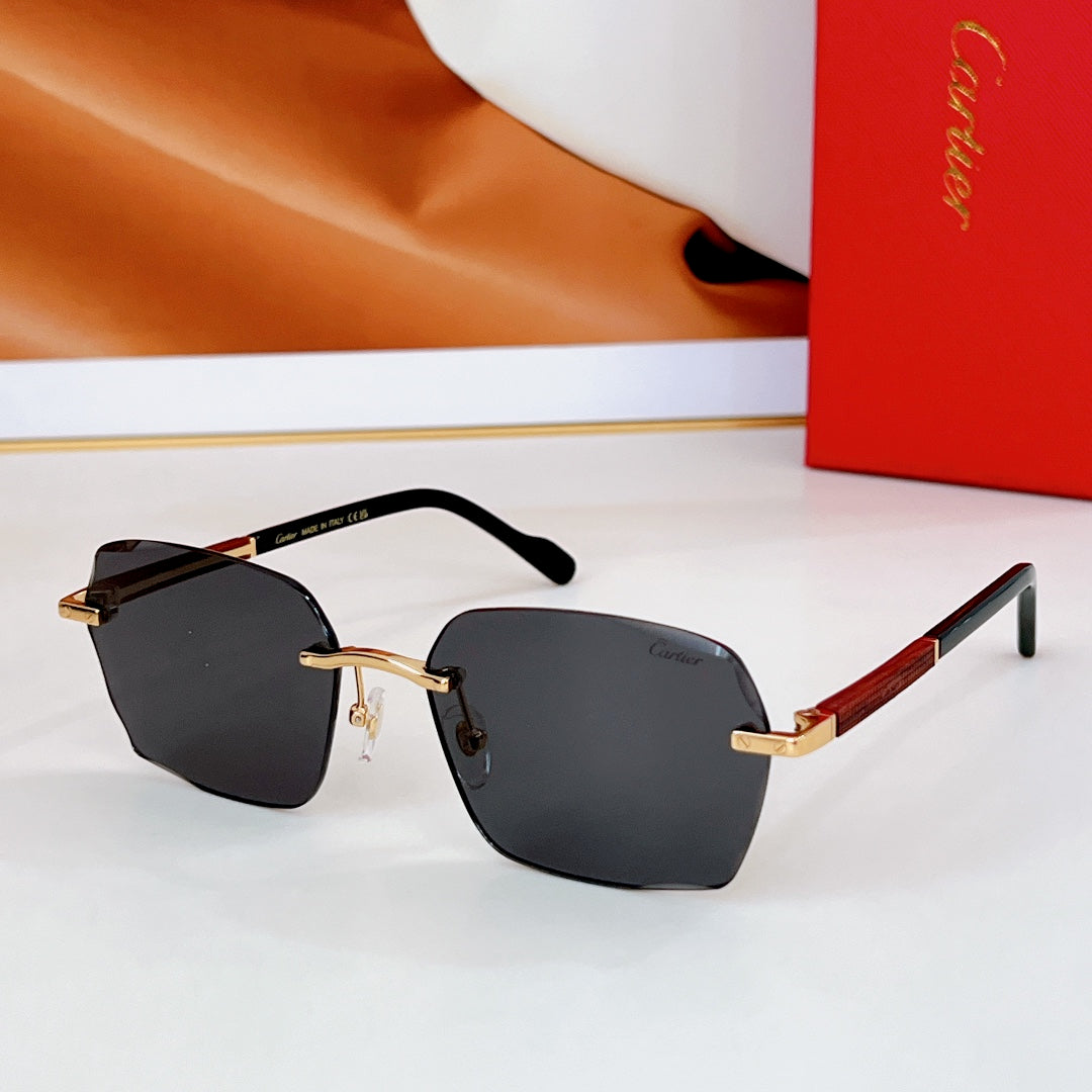 CARTIER SANTOS SQUARE FRAME SUNGLASSES CT0483S IN METAL