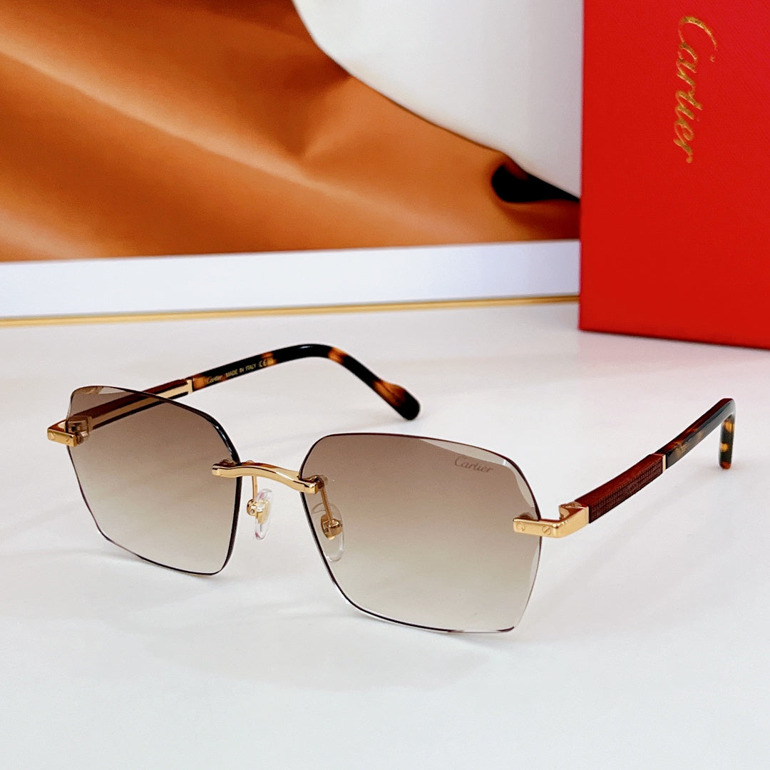 CARTIER SANTOS SQUARE FRAME SUNGLASSES CT0483S IN METAL
