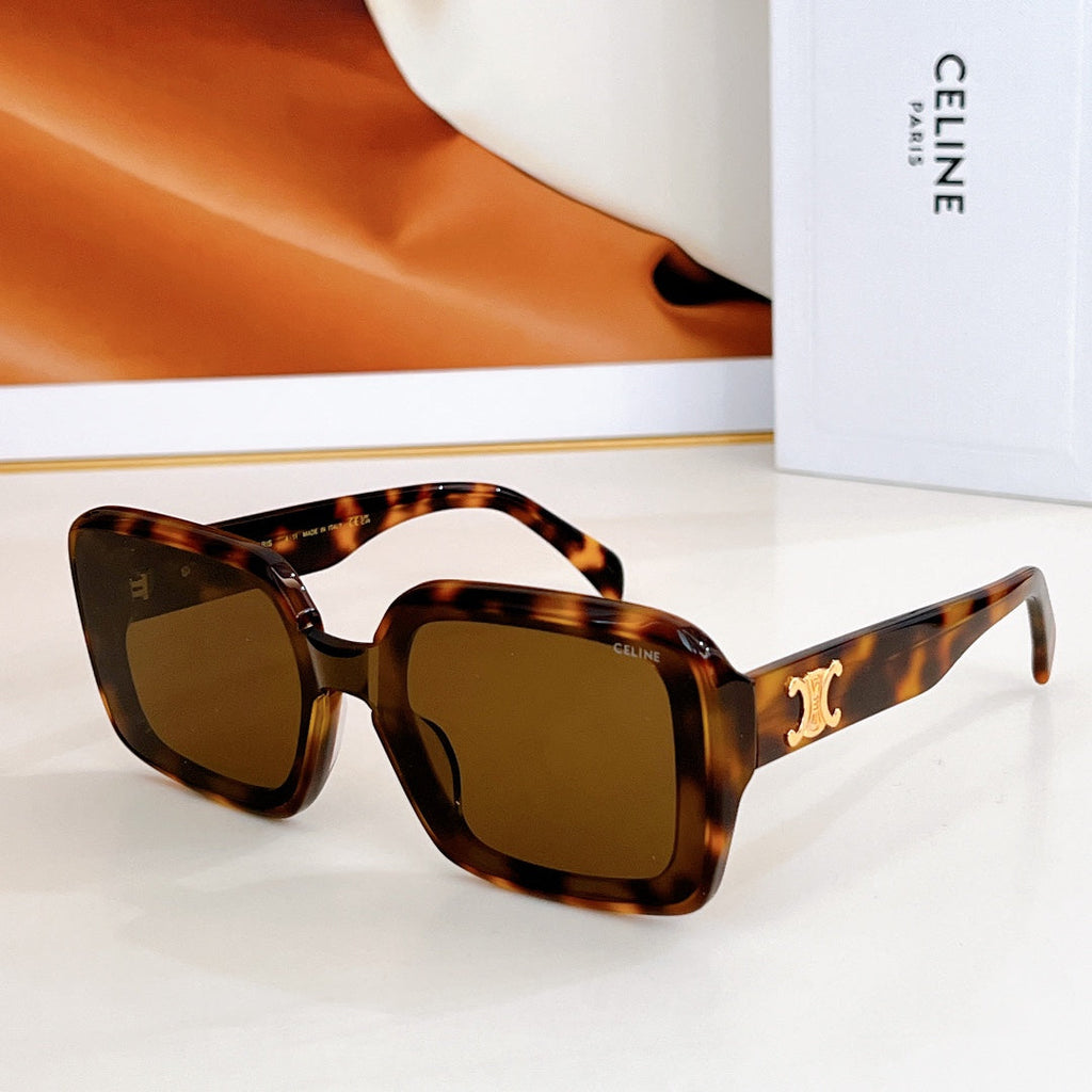 CELINE TRIOMPHE SUNGLASSES CL42126U IN ACETATE