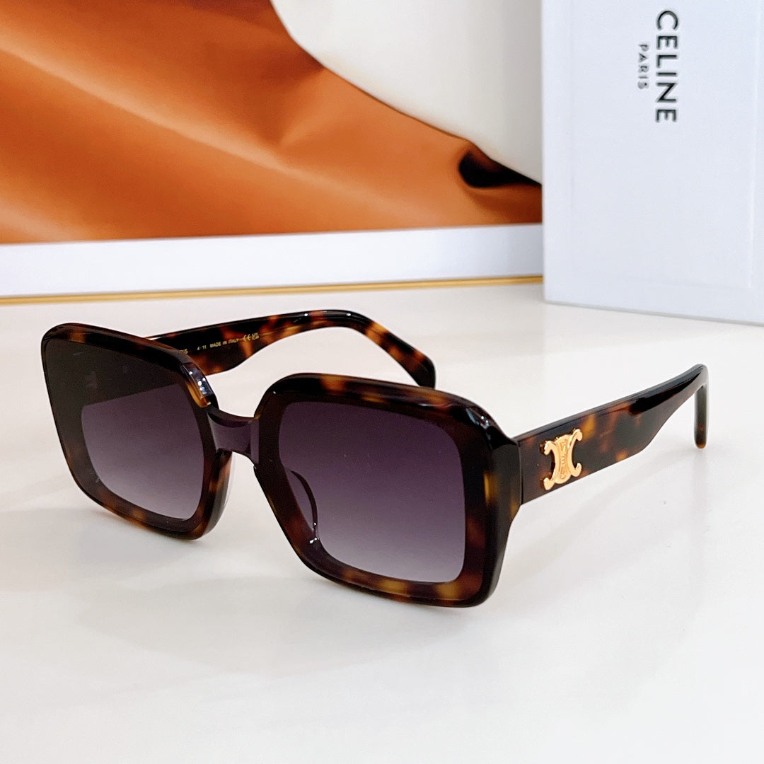 CELINE TRIOMPHE SUNGLASSES CL42126U IN ACETATE