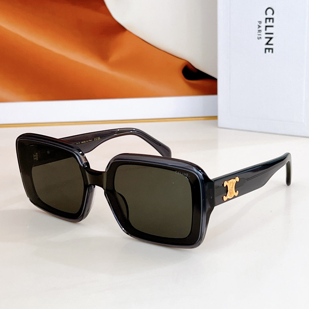 CELINE TRIOMPHE SUNGLASSES CL42126U IN ACETATE