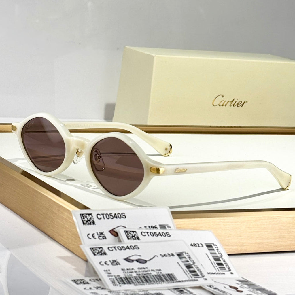 CARTIER PREMIÈRE GEOMETRIC FRAME SUNGLASSES CT0540S IN ACETATE
