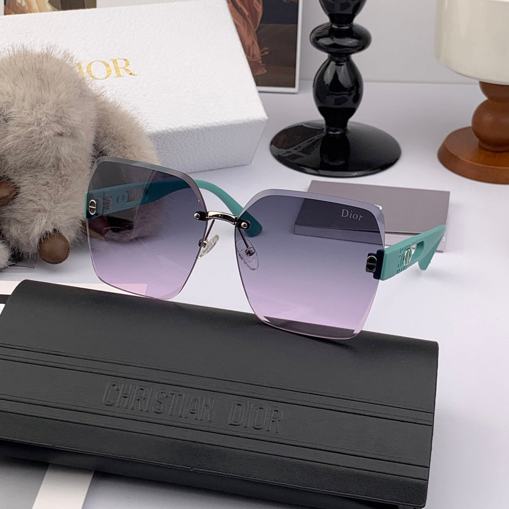 DIOR SIGNATURE SUNGLASSES CD9770 IN ACETATE