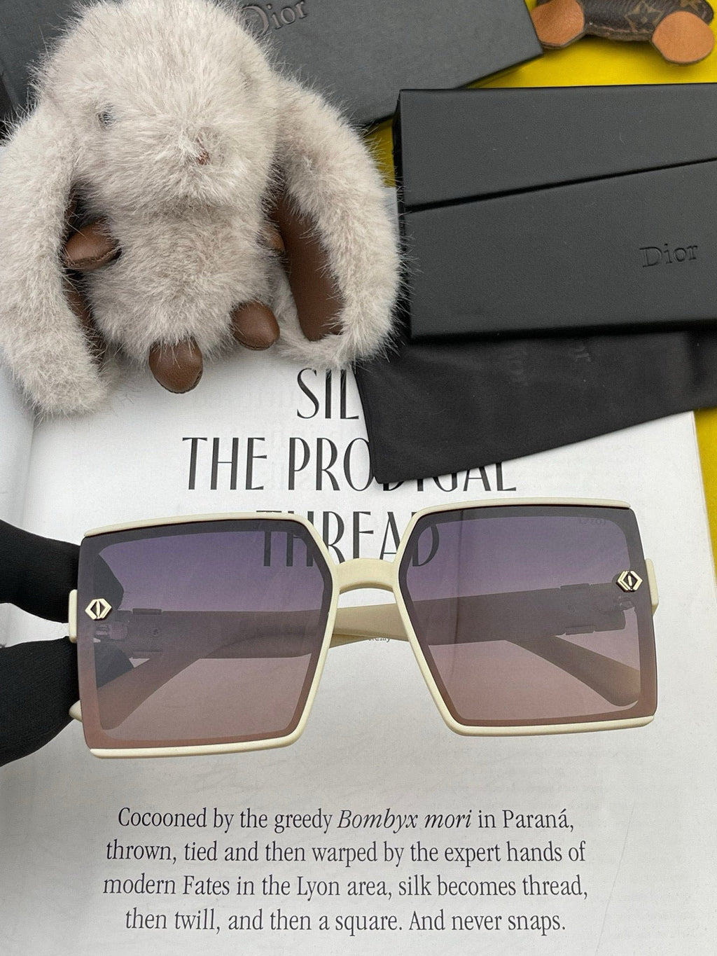 DIOR MONTAIGNE SUNGLASSES CD9781 IN ACETATE