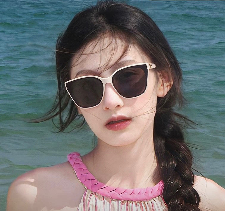 DIOR MONTAIGNE SUNGLASSES CD67711 IN ACETATE