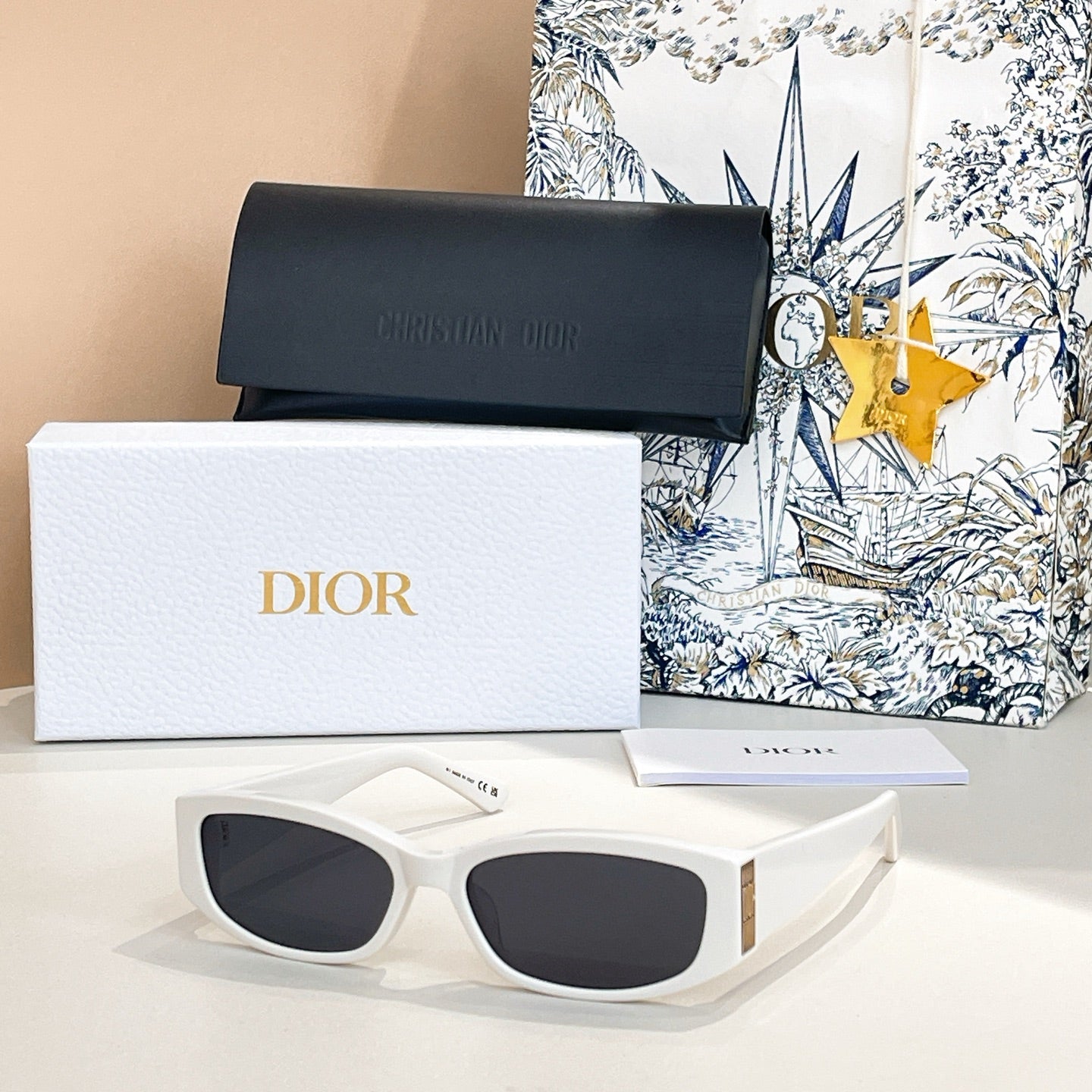DIOR MONTAIGNE SUNGLASSES GLOW S1I IN ACETATE