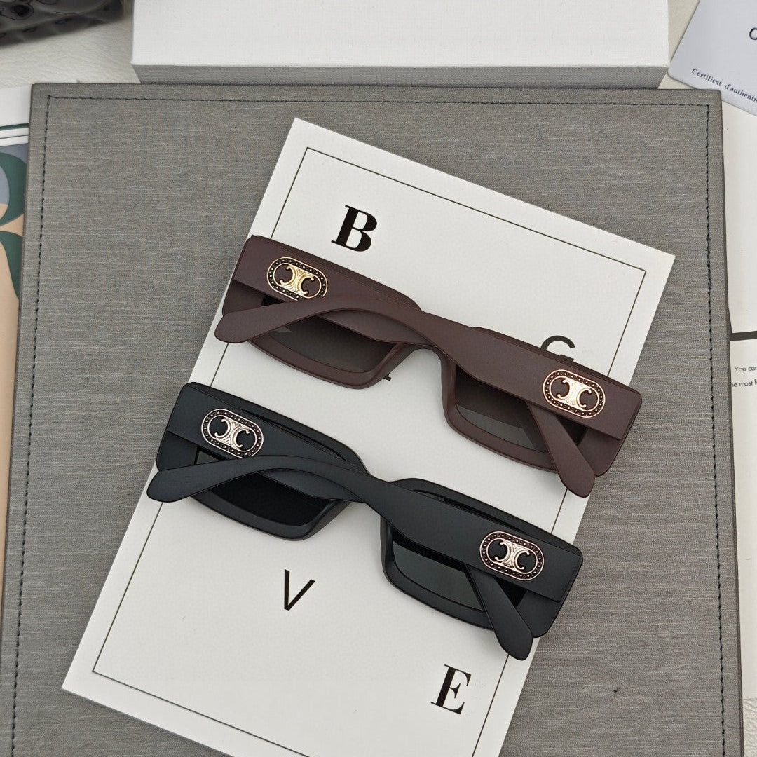 CELINE TRIOMPHE SKATE SUNGLASSES 566599 IN ACETATE