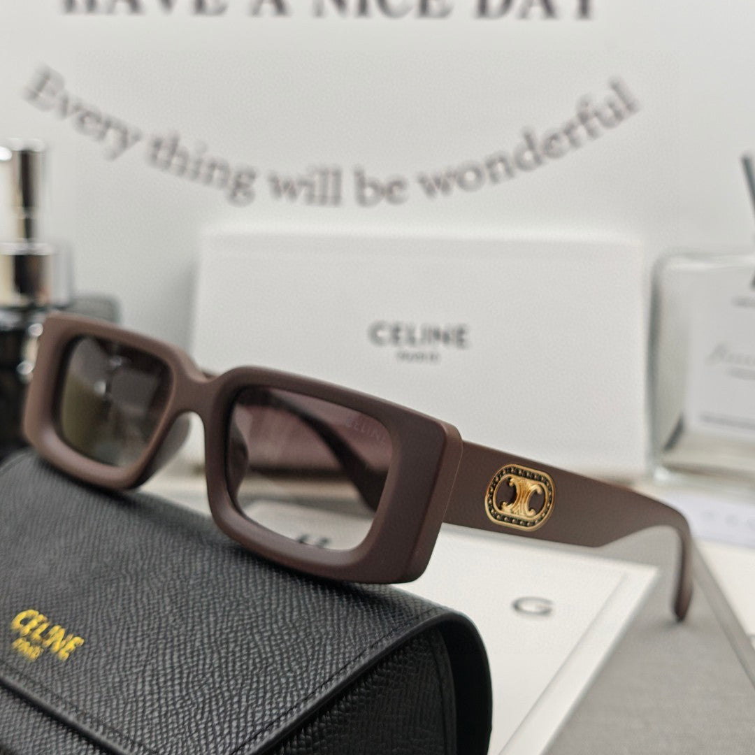 CELINE TRIOMPHE SKATE SUNGLASSES 566599 IN ACETATE