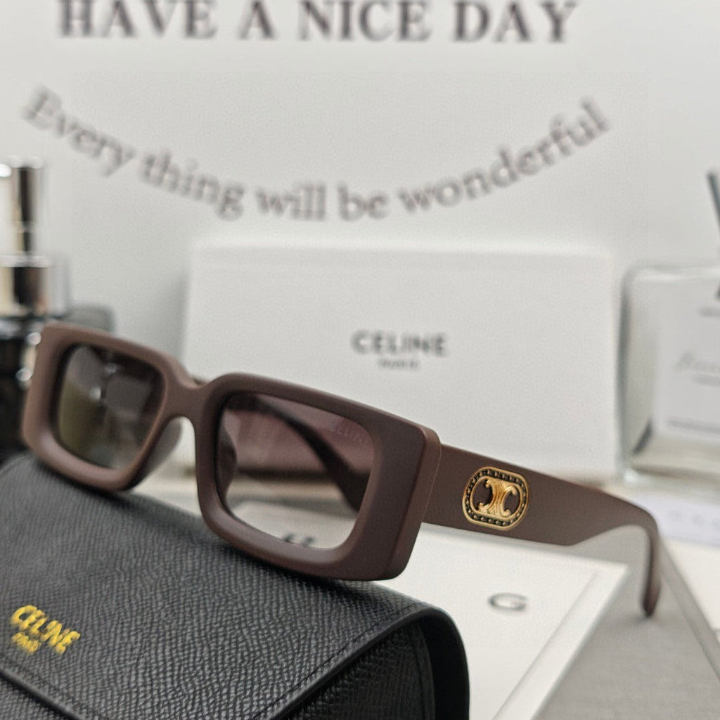 CELINE TRIOMPHE BOLD SQUARE SUNGLASSES 55148 IN ACETATE