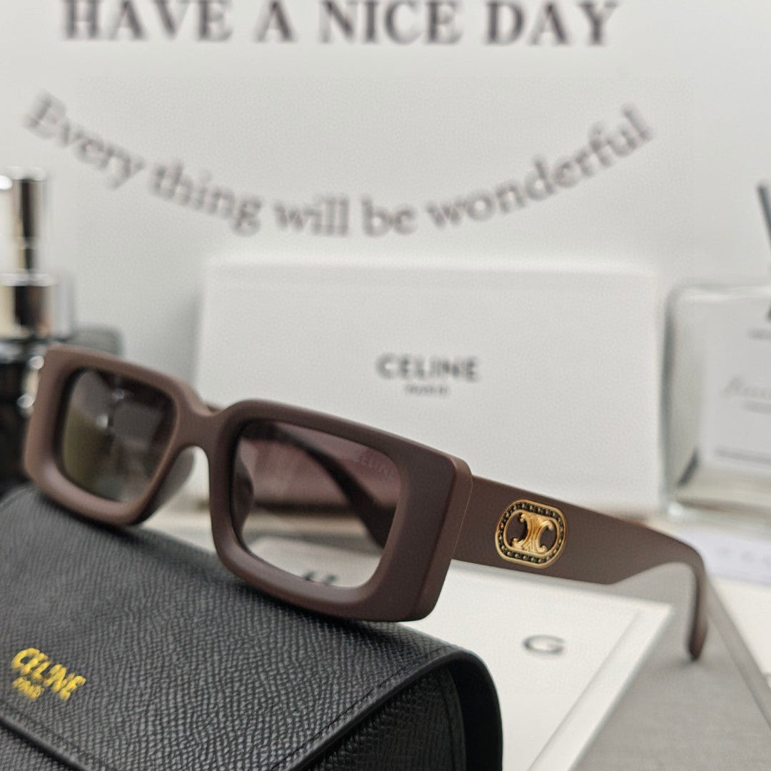 CELINE TRIOMPHE BOLD SQUARE SUNGLASSES 55148 IN ACETATE