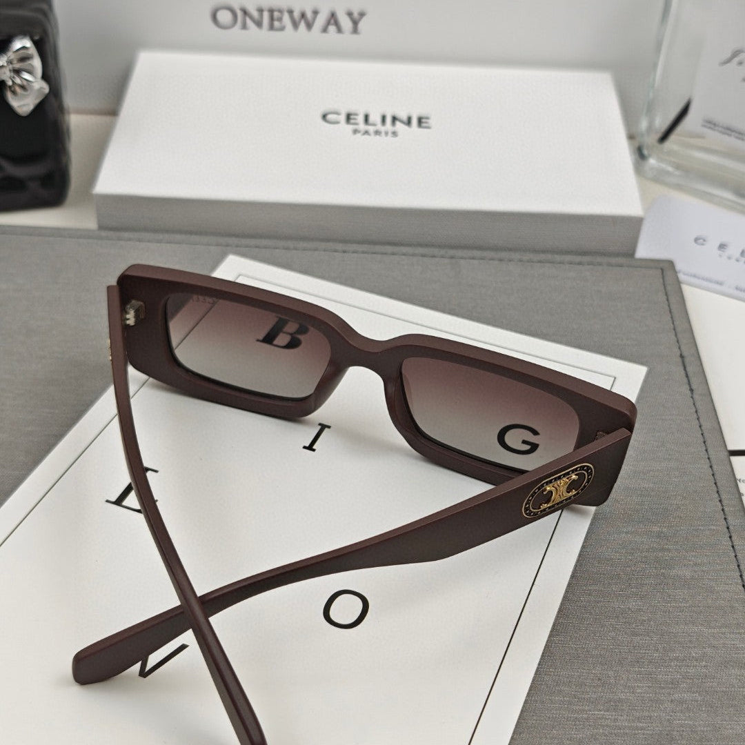 CELINE TRIOMPHE SKATE SUNGLASSES 566599 IN ACETATE