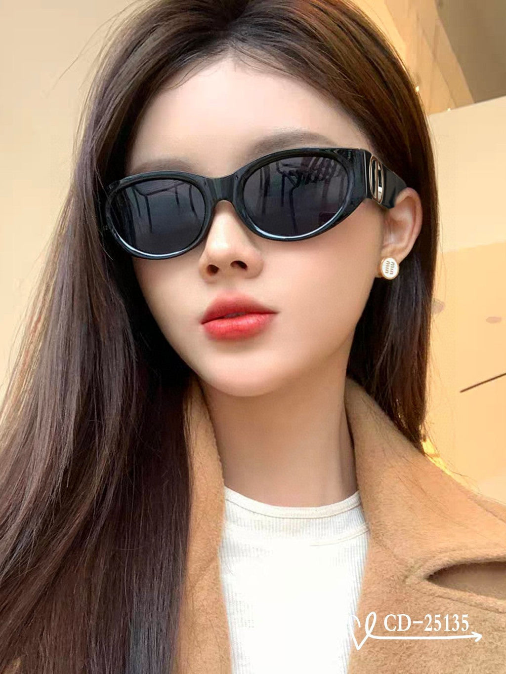 DIOR MONTAIGNE SUNGLASSES 25135 IN ACETATE