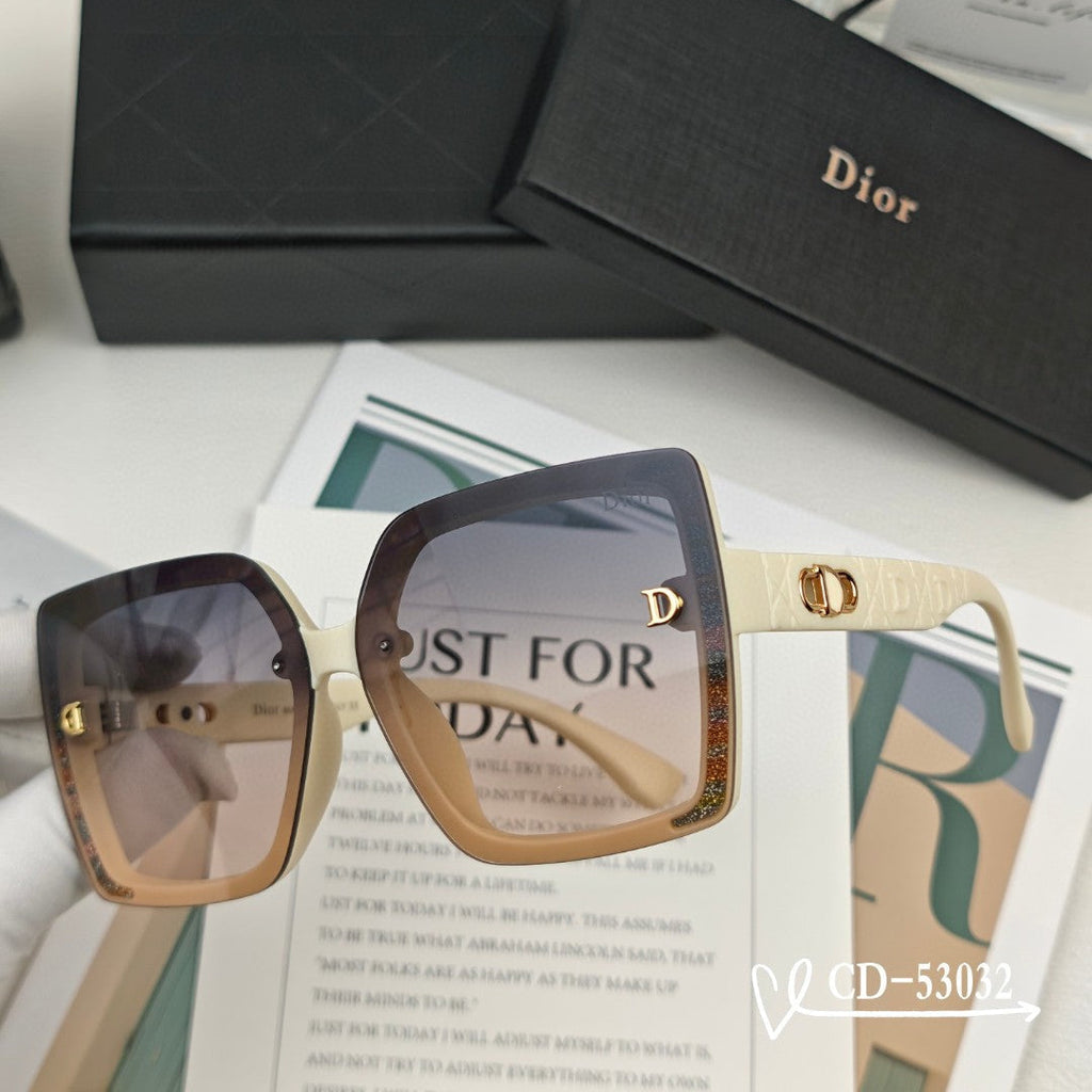 DIOR MONTAIGNE SUNGLASSES 53032 IN ACETATE