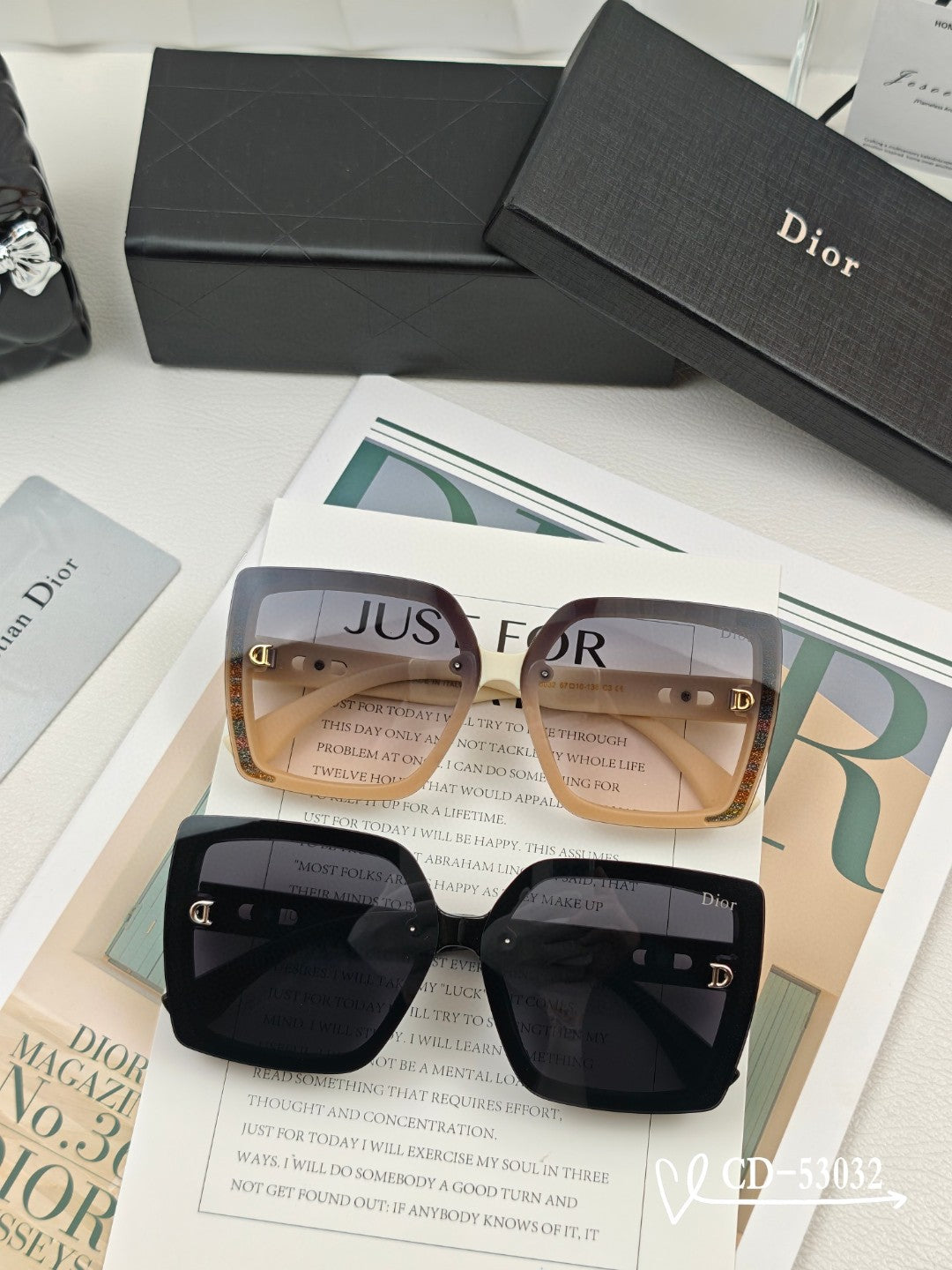 DIOR MONTAIGNE SUNGLASSES 53032 IN ACETATE