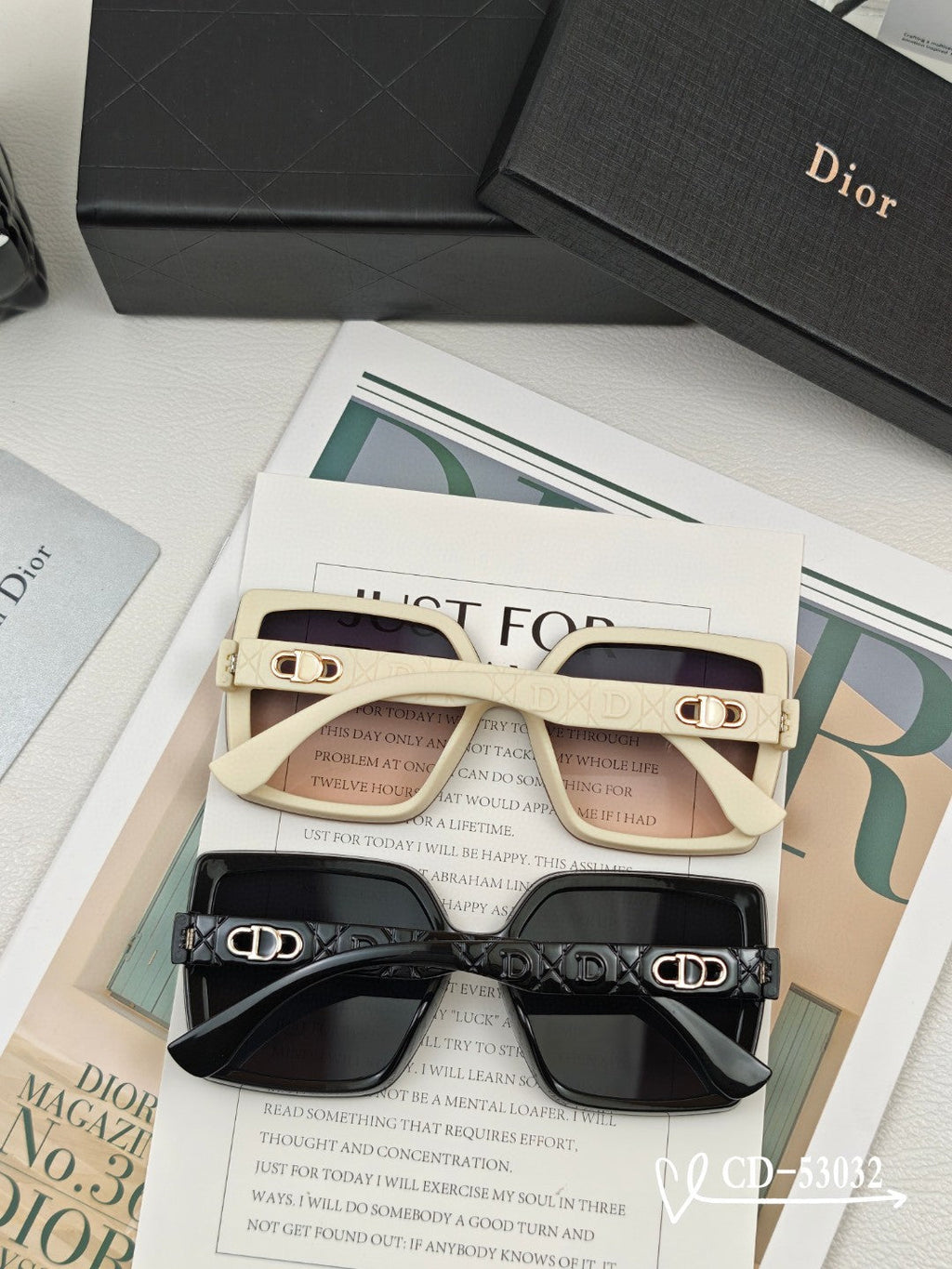 DIOR MONTAIGNE SUNGLASSES 53032 IN ACETATE