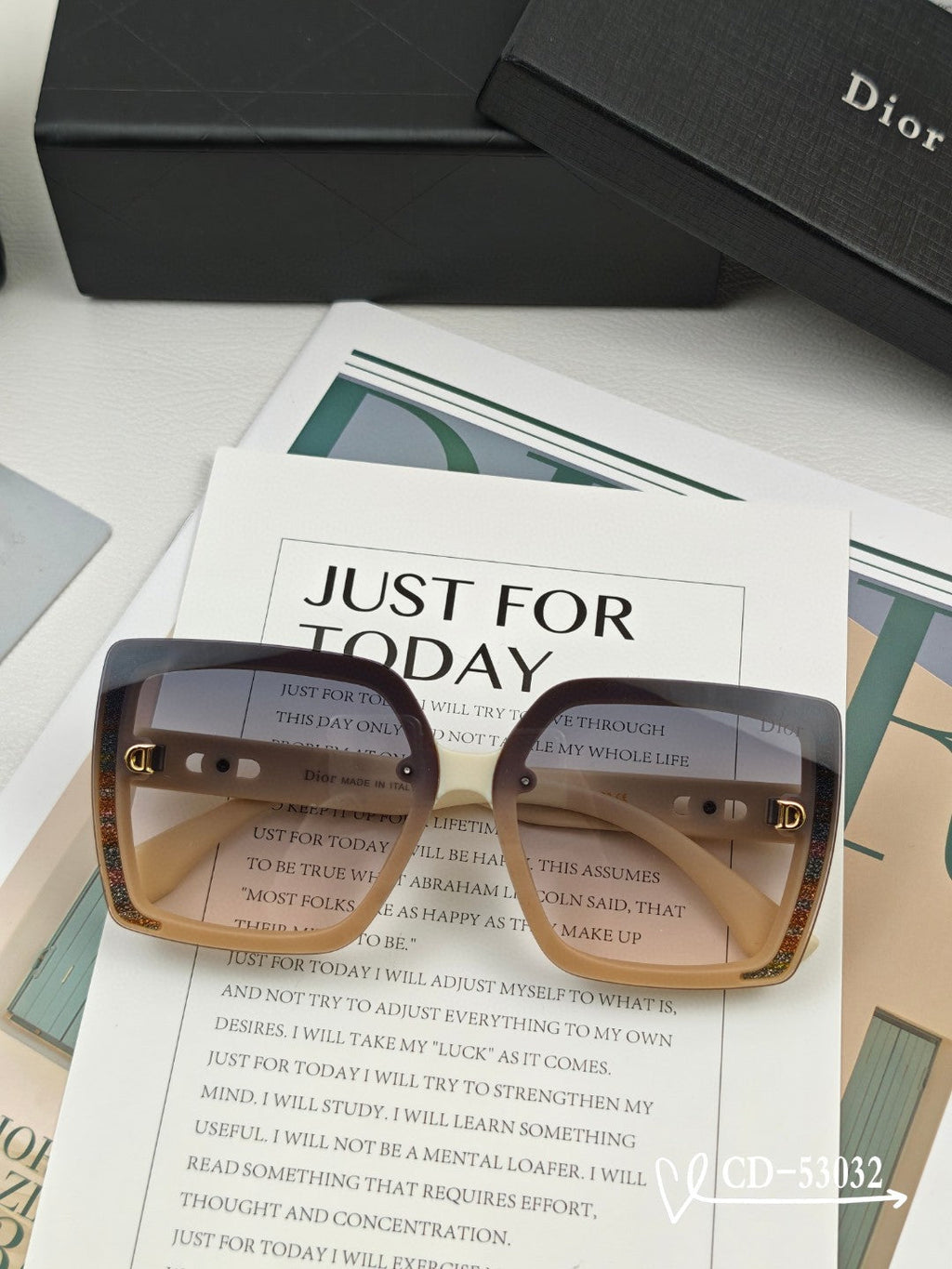 DIOR MONTAIGNE SUNGLASSES 53032 IN ACETATE