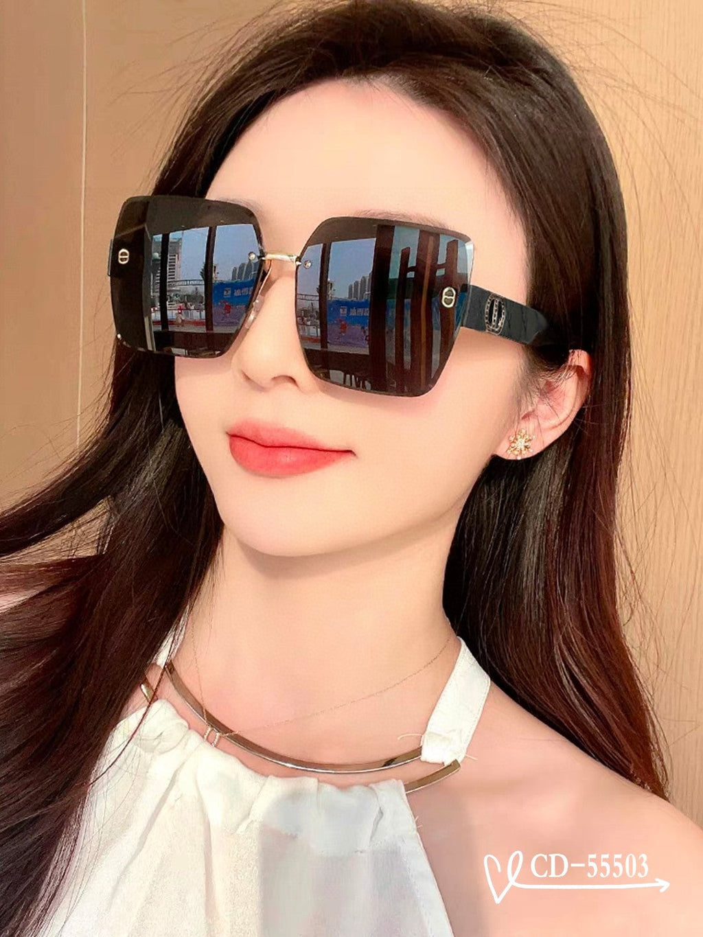 DIOR MONTAIGNE SUNGLASSES 55503 IN ACETATE