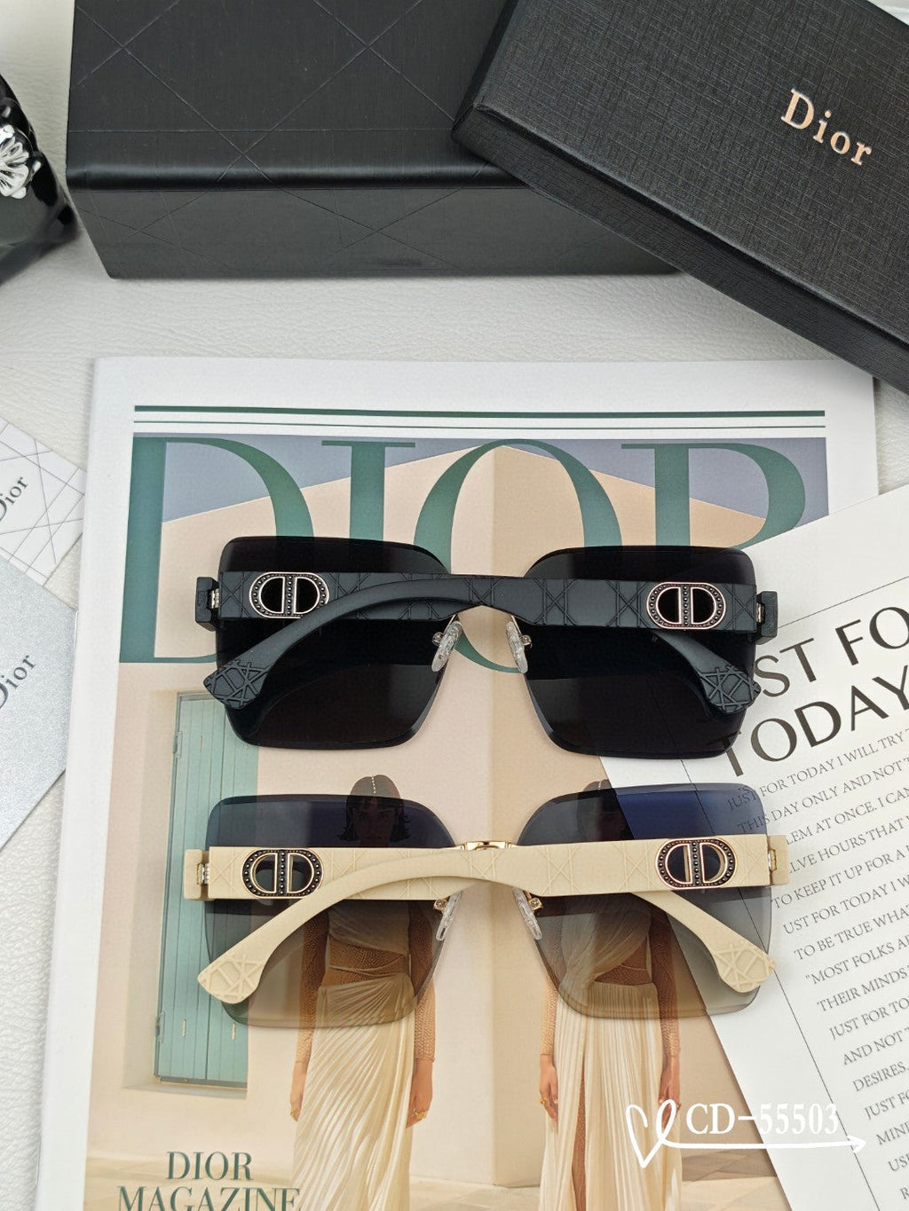 DIOR MONTAIGNE SUNGLASSES 55503 IN ACETATE