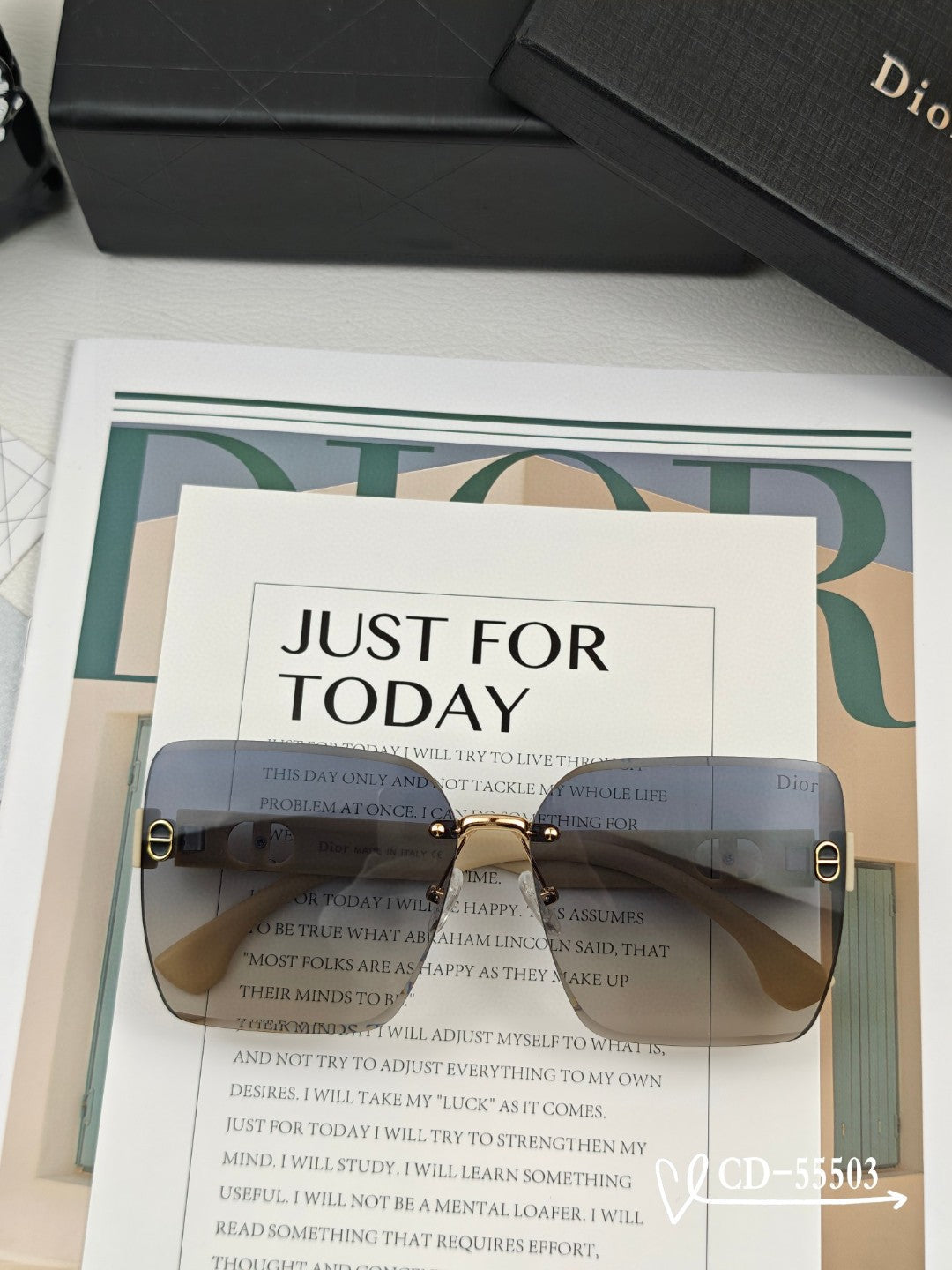 DIOR MONTAIGNE SUNGLASSES 55503 IN ACETATE