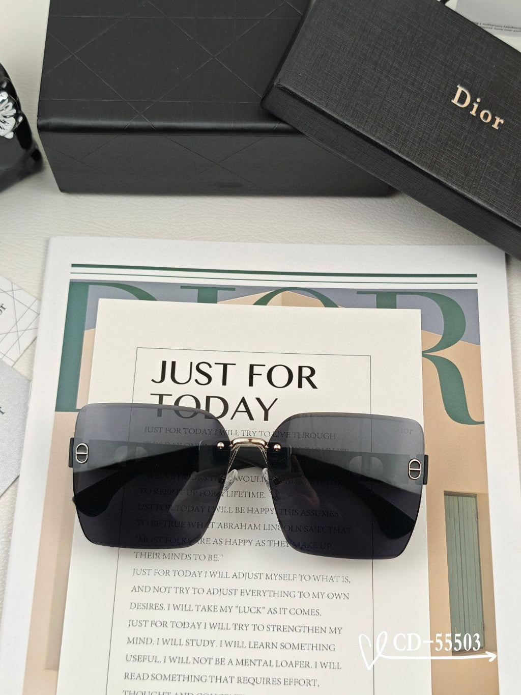 DIOR MONTAIGNE SUNGLASSES 55503 IN ACETATE
