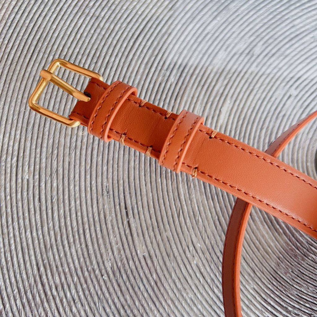 CELINE CL BELT BAG TRIOMPHE 25 MM BELT TRIOMPHE ORANGE CALFSKIN GOLD HARDWARE