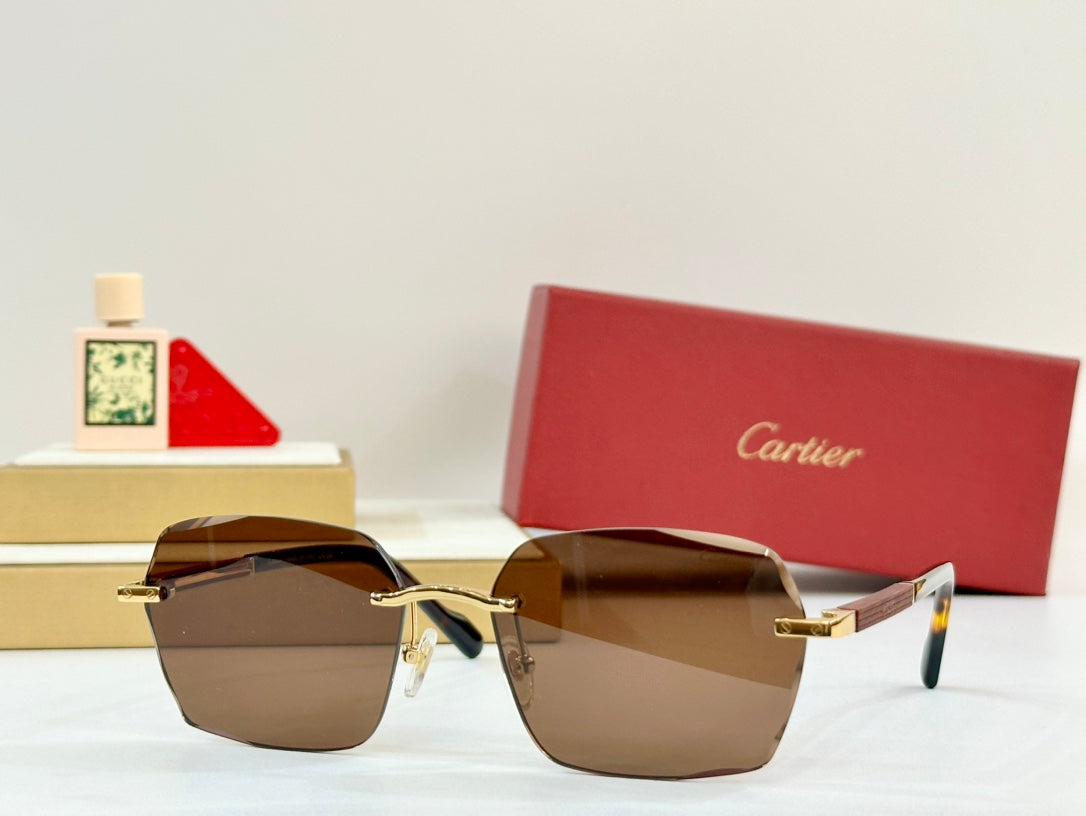 CARTIER PREMIÈRE GEOMETRIC FRAME SUNGLASSES 530303 IN METAL AND WOODEN