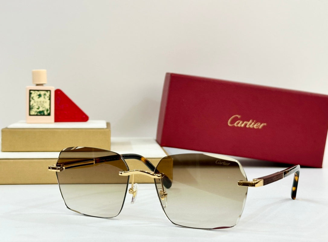 CARTIER PREMIÈRE GEOMETRIC FRAME SUNGLASSES 530303 IN METAL AND WOODEN