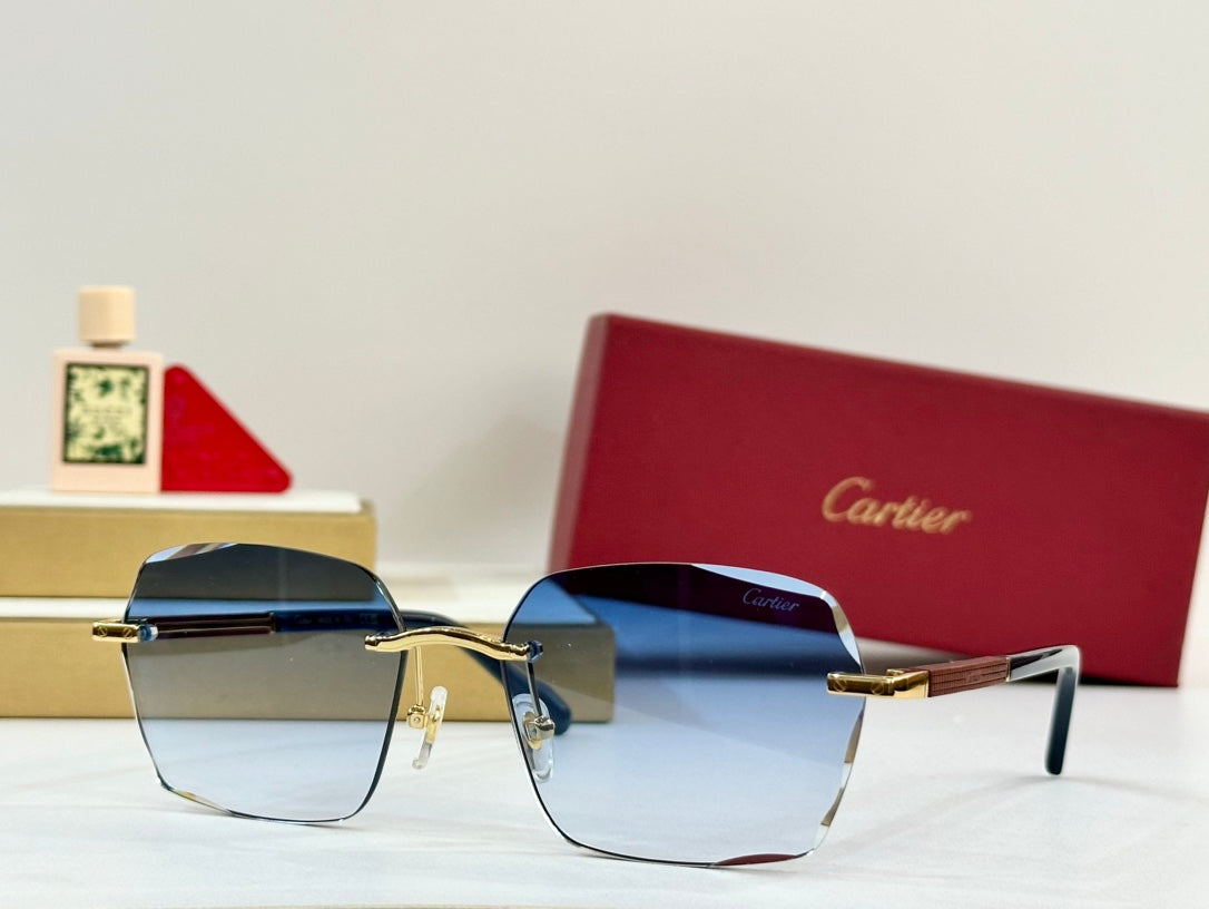CARTIER SANTOS SQUARE FRAME SUNGLASSES 530303 IN METAL