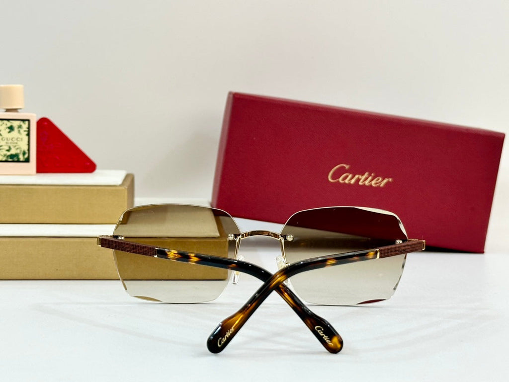 CARTIER PREMIÈRE GEOMETRIC FRAME SUNGLASSES 530303 IN METAL AND WOODEN