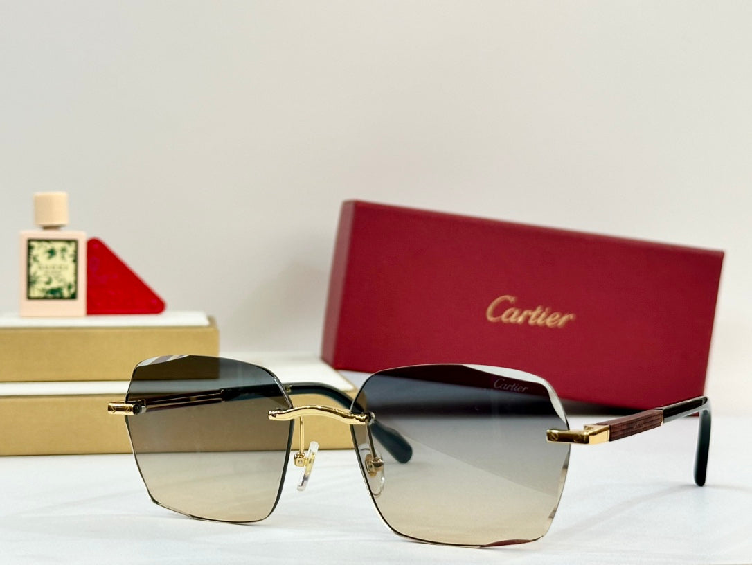 CARTIER SANTOS SQUARE FRAME SUNGLASSES 530303 IN METAL