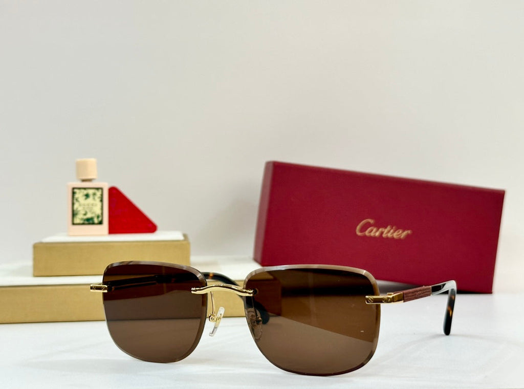 CARTIER PREMIÈRE SQUARE FRAME SUNGLASSES 530304 IN METAL AND WOODEN
