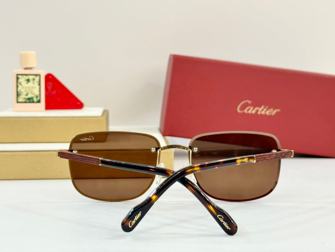 CARTIER PREMIÈRE SQUARE FRAME SUNGLASSES 530304 IN METAL AND WOODEN