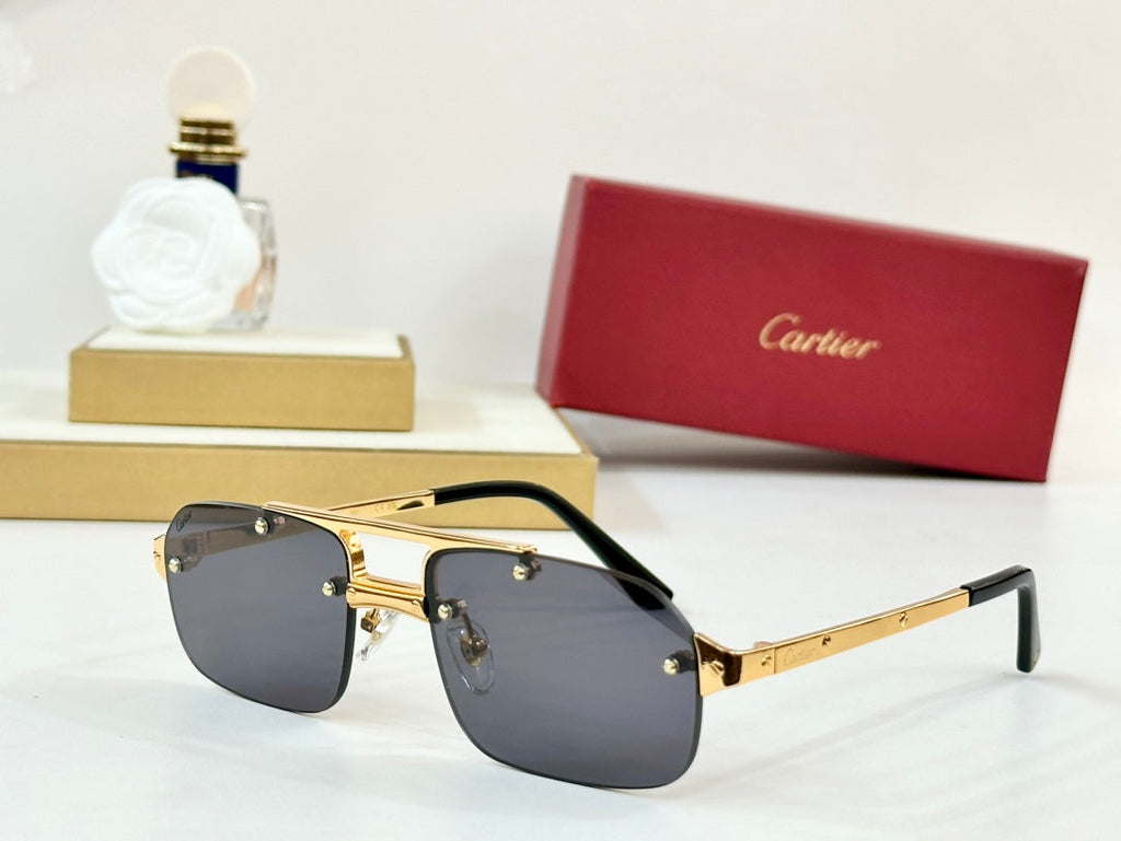 CARTIER SANTOS RECTANGULAR FRAME SUNGLASSES CT0660S IN METAL
