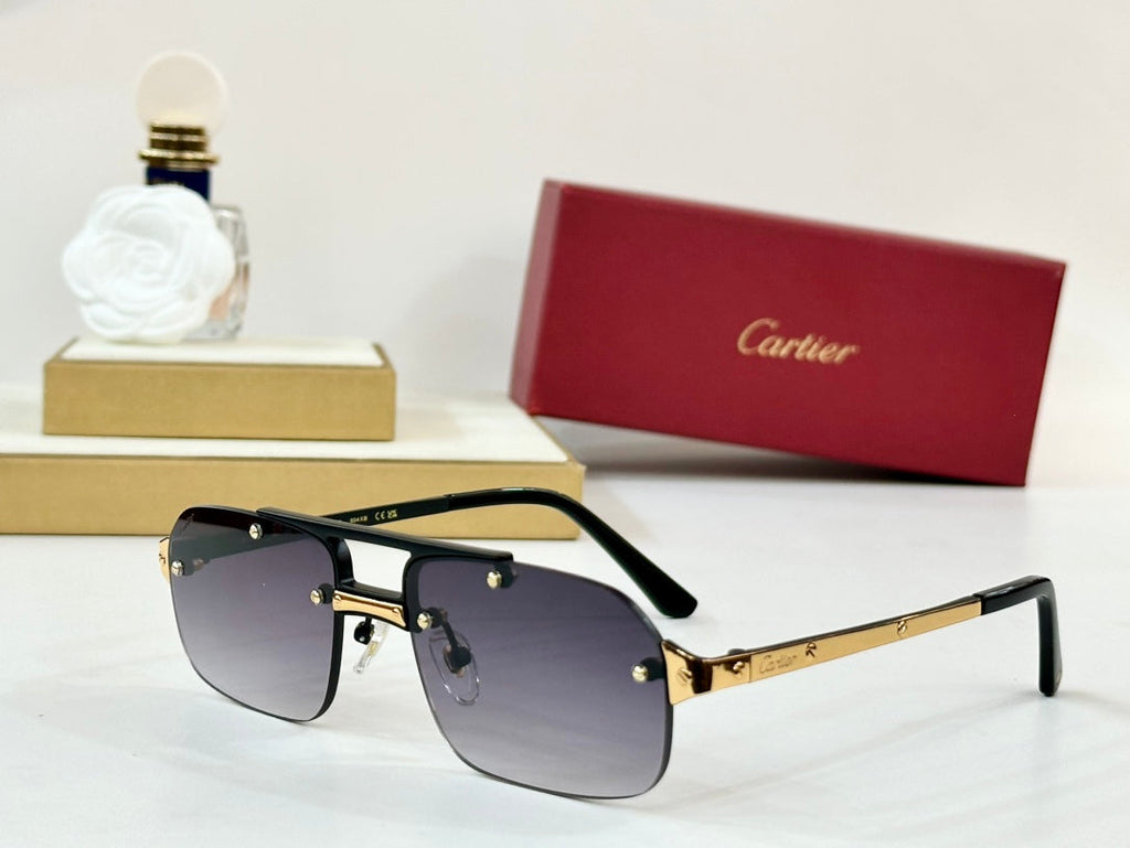 CARTIER SANTOS RECTANGULAR FRAME SUNGLASSES CT0660S IN METAL