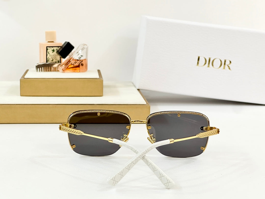 DIOR MONTAIGNE SUNGLASSES NEO A4U IN METAL