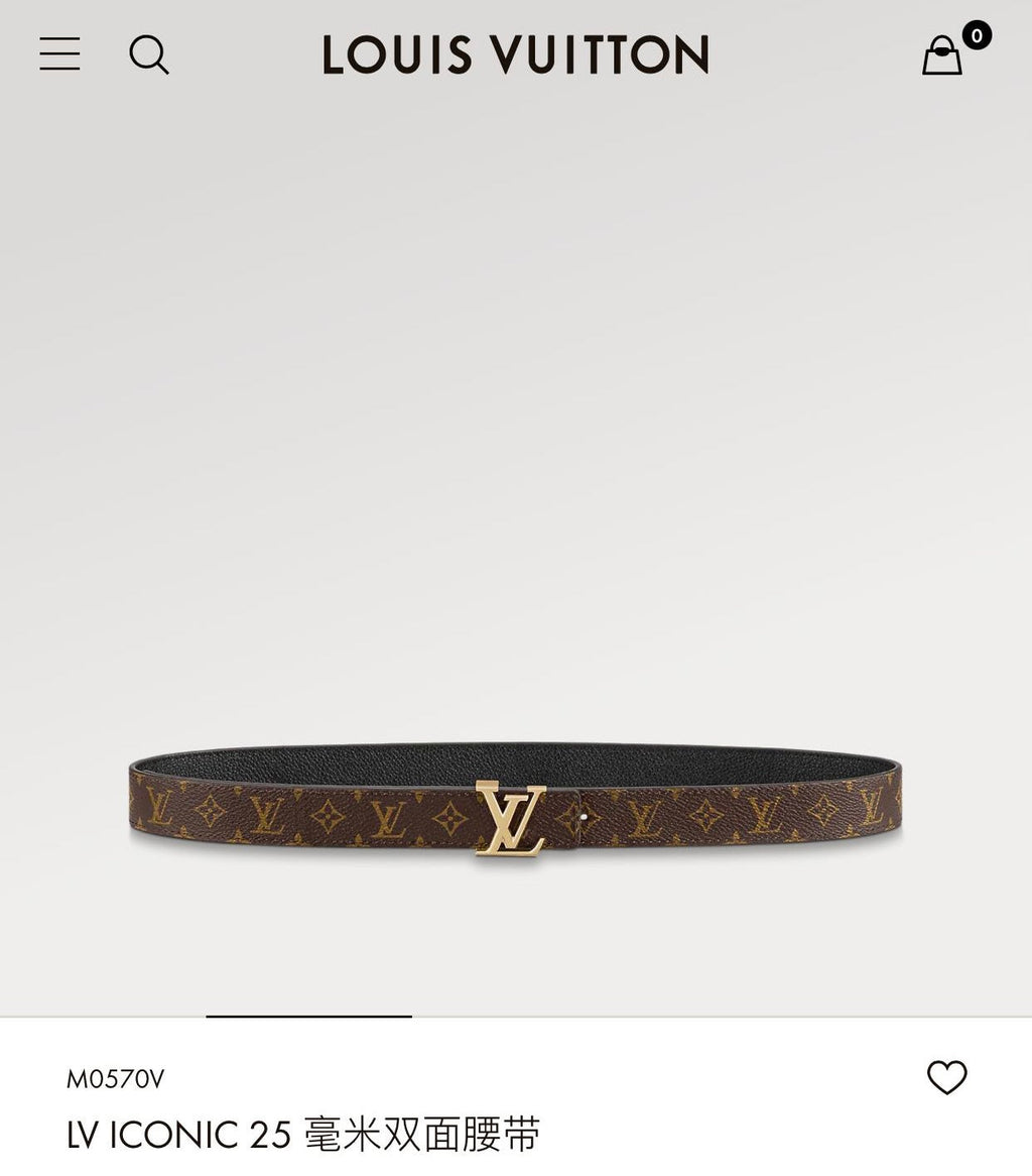 LOUIS VUITTON LV ICONIC 25 MM IN BROWN DAMIER CALFSKIN SILVER HARDWARE