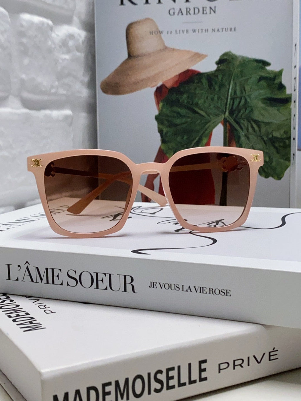 CELINE TRIOMPHE SUNGLASSES 497815 IN PINK CLEAR METAL