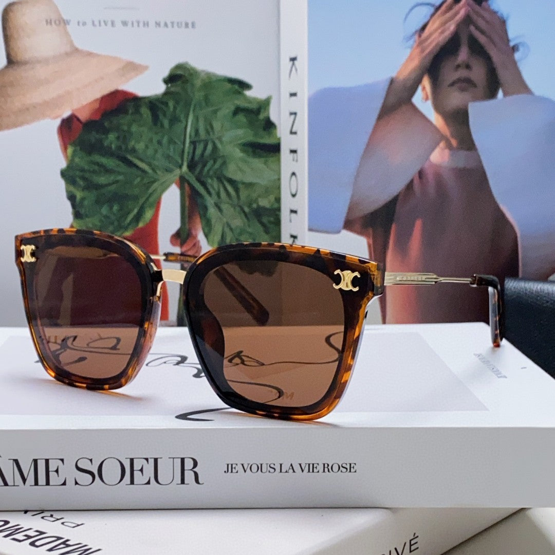 CELINE TRIOMPHE SUNGLASSES 548590 IN HAVANA ACETATE