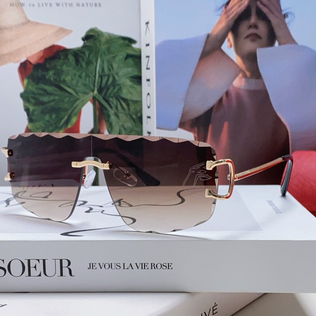 CARTIER RIMLESS NAVIGATOR FRAME SUNGLASSES 548665 IN METAL